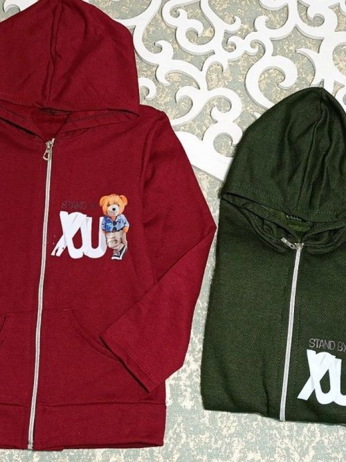 سویشرت پسرانه رنگی تدی استند